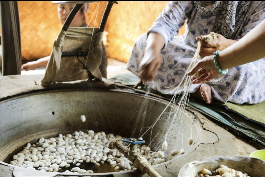 Silk threads being reeled from cocoons by hand